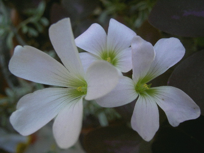 05.jpg
