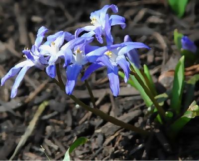 060407-63.jpg