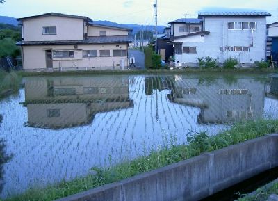 20080525yuugere.jpg