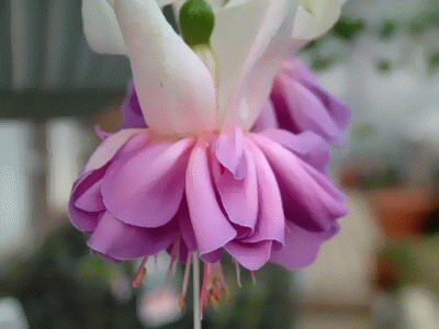 20090630-195311-78856400.gif