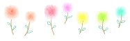 img6.gif