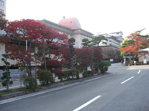 CIMG07700.jpg