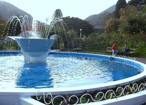 CIMG0796.jpg