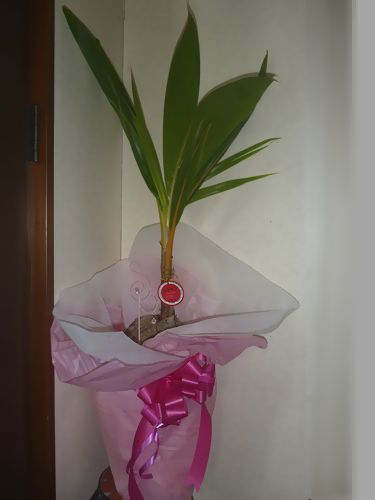 P1000899.JPG