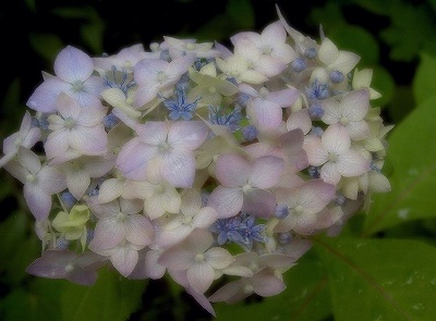 PICT0004.jpg
