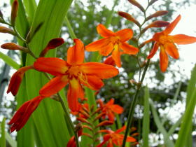 PICT08962.jpg