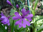 PICT20051.jpg