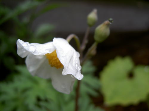 PICT22141.jpg