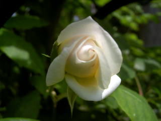 PICT263311.jpg