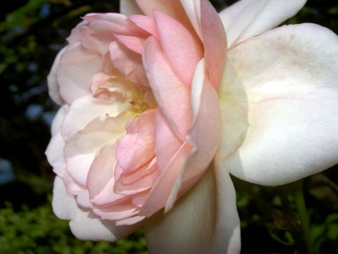 PICT27711.jpg