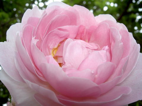 PICT28191.jpg