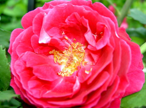PICT28641.jpg