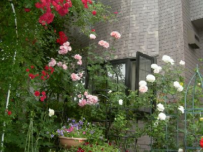 PICT3164.jpg
