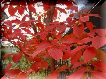 PICT4330.jpg