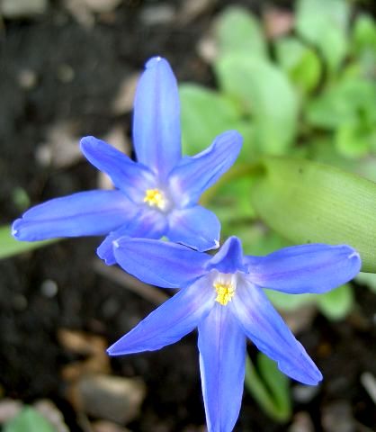 PICT4781.JPG