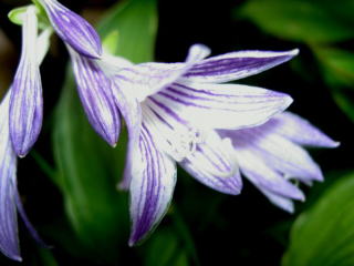 PICT64551.jpg