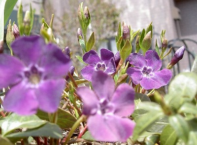 PICT7417.jpg
