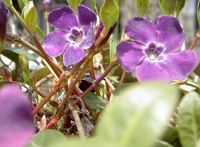 PICT7418.jpg