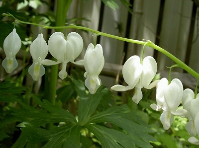 PICT763777.jpg