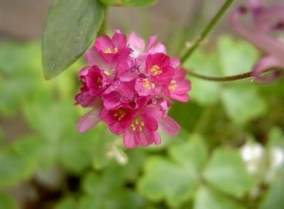 PICT7777s-.jpg