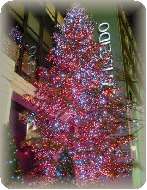 ginza01_1.jpg
