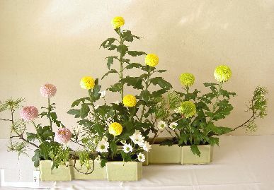 ikebana3.JPG