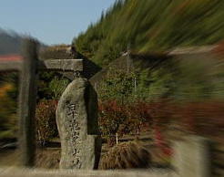 image22.jpg