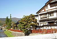 image9.jpg