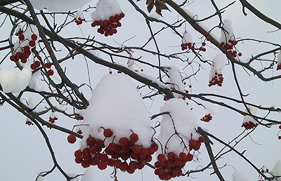 PICT4436.jpg
