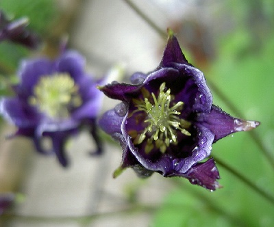 s-PICT2227.jpg