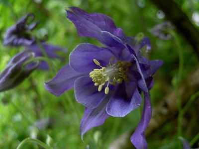 s-PICT2232.jpg