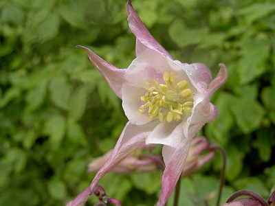 s-PICT2243.jpg