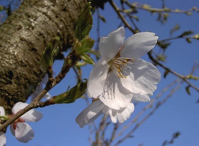 s-PICT7440.jpg