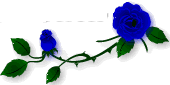 title8.gif
